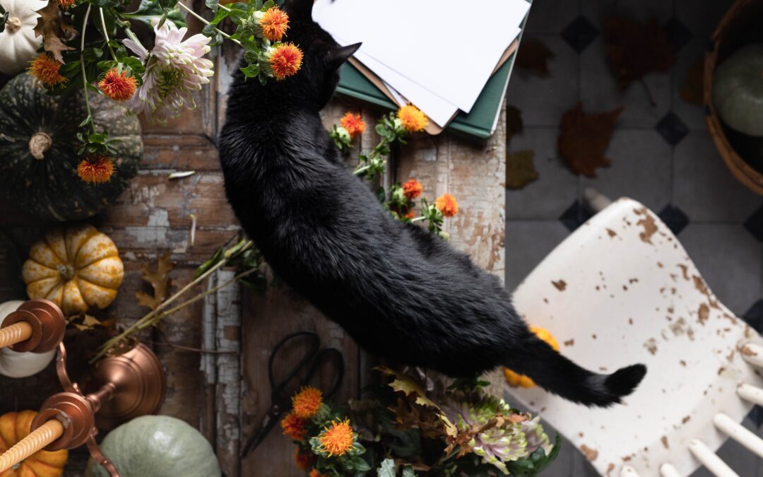 Black cat walking over a wooden table decorated for Thanksgiving