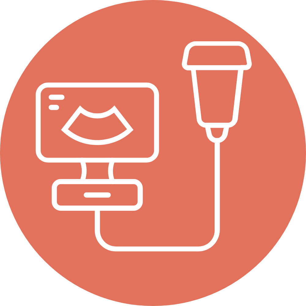pet boarding icon