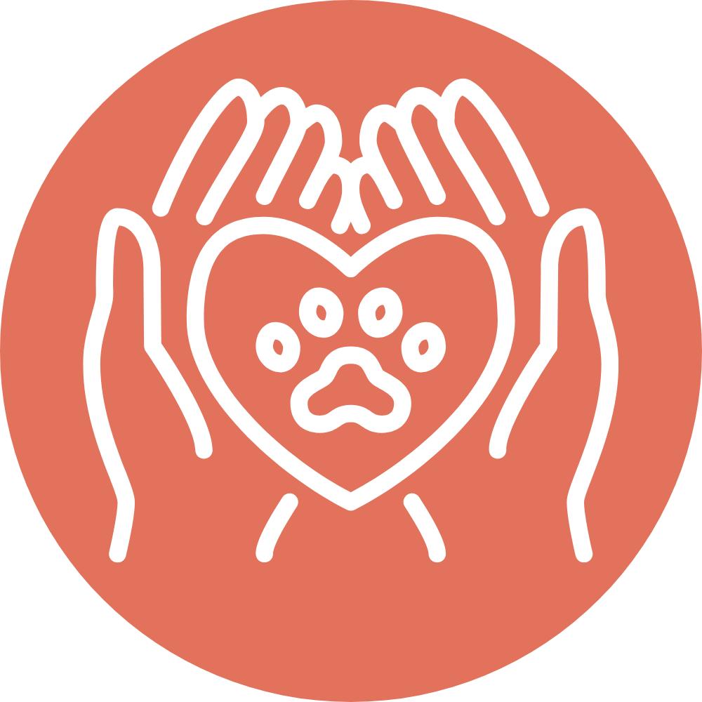 pet surgery icon
