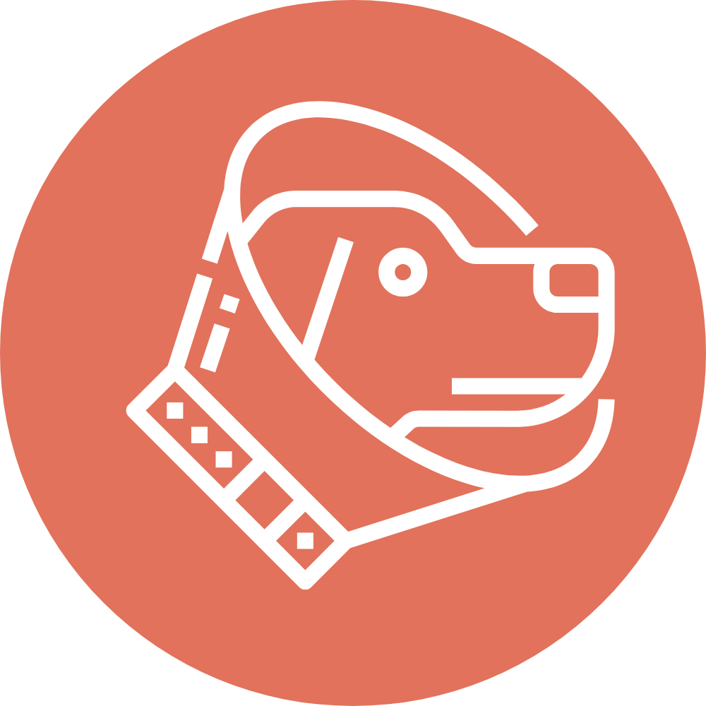 pet surgery icon