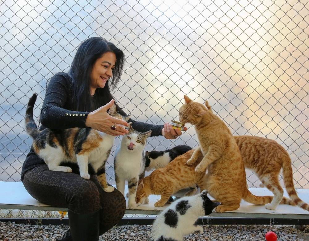 A girl playing with cats