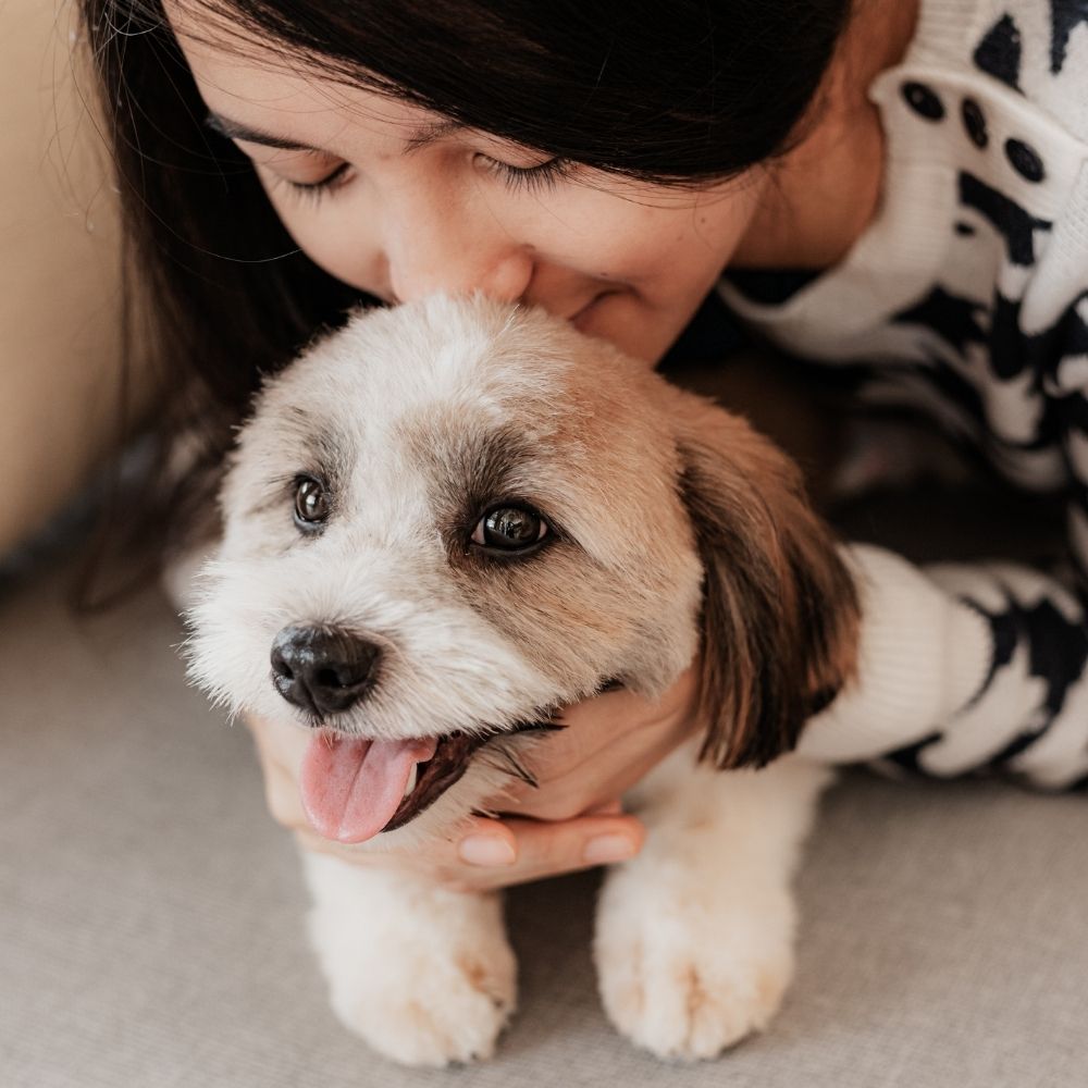 New Patient Registration Monte Vista Animal Hopsital new-patient-registration-monte-vista-animal-hopsital