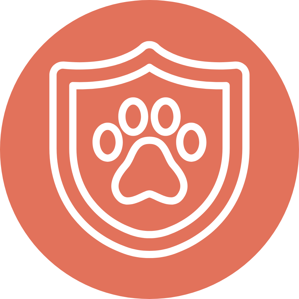 pet medical icon