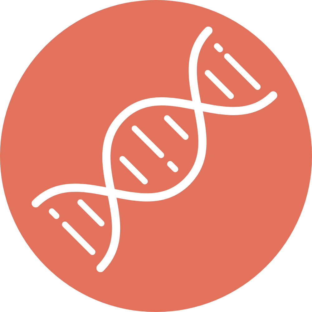 pet stem cell treatment