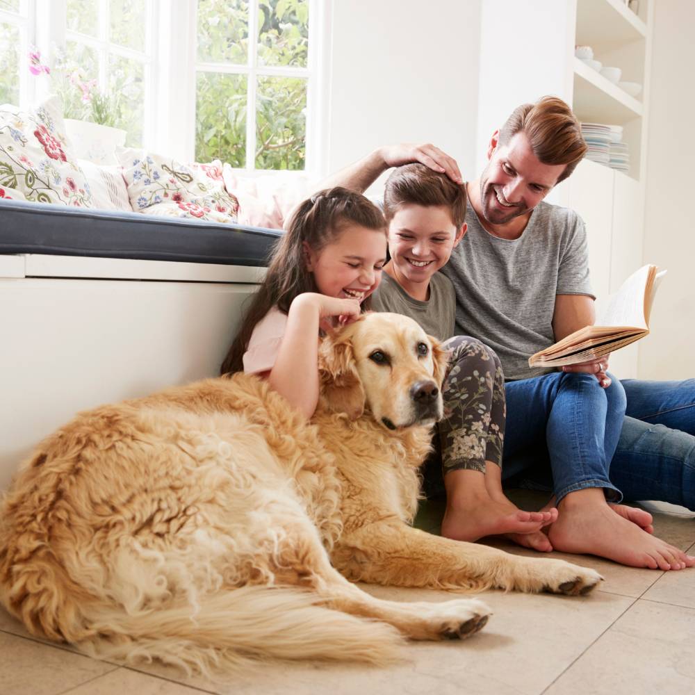 Family reading with golden retriever