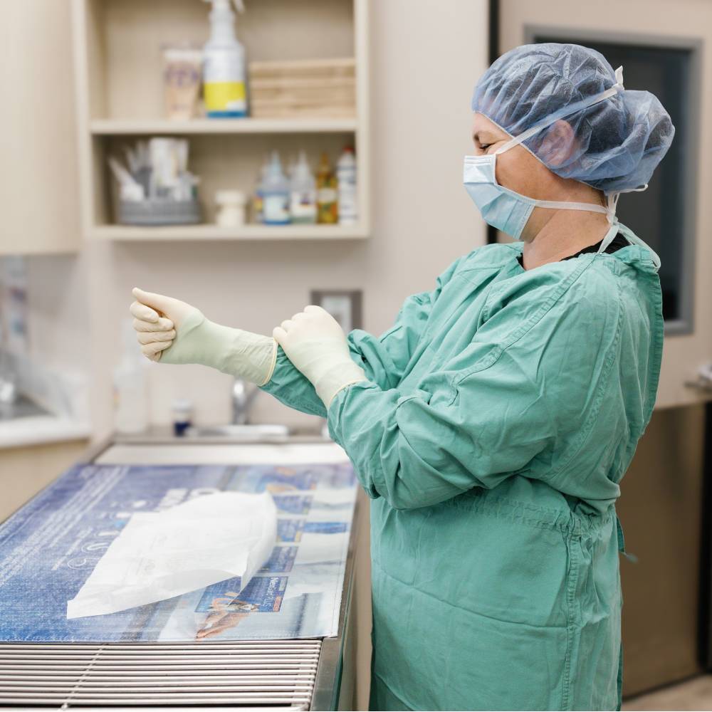 doctor at the veterinary