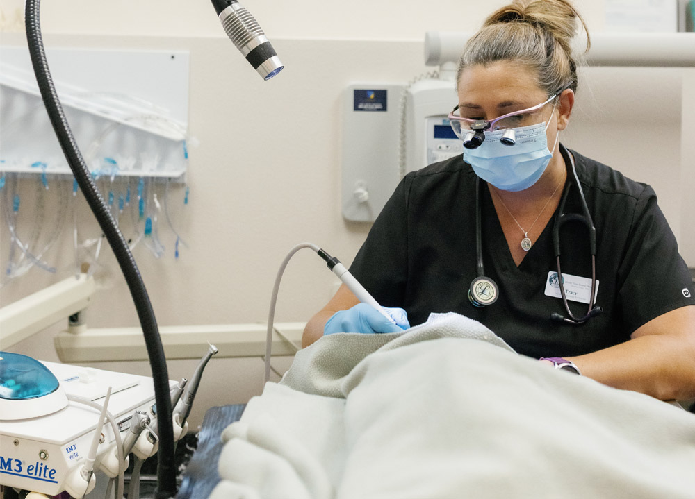 Doctor during medical treatment