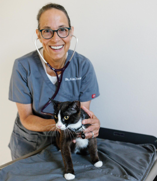 doctor holding a cat with care